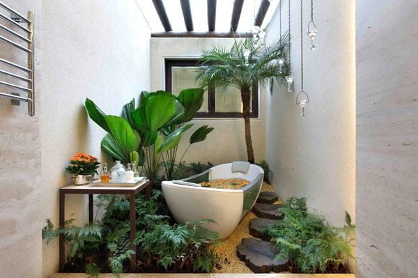 Green Oasis with Houseplants