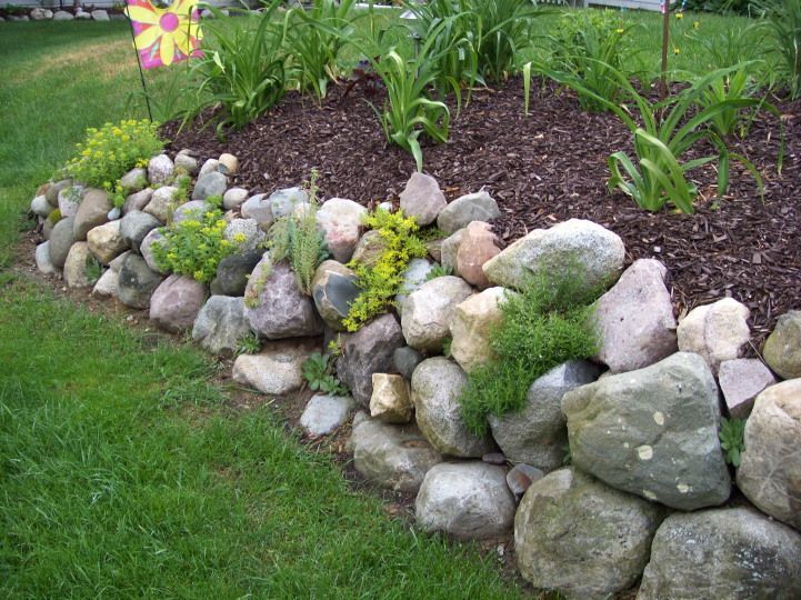 Establish a Mini Rock Garden with Green Plants
