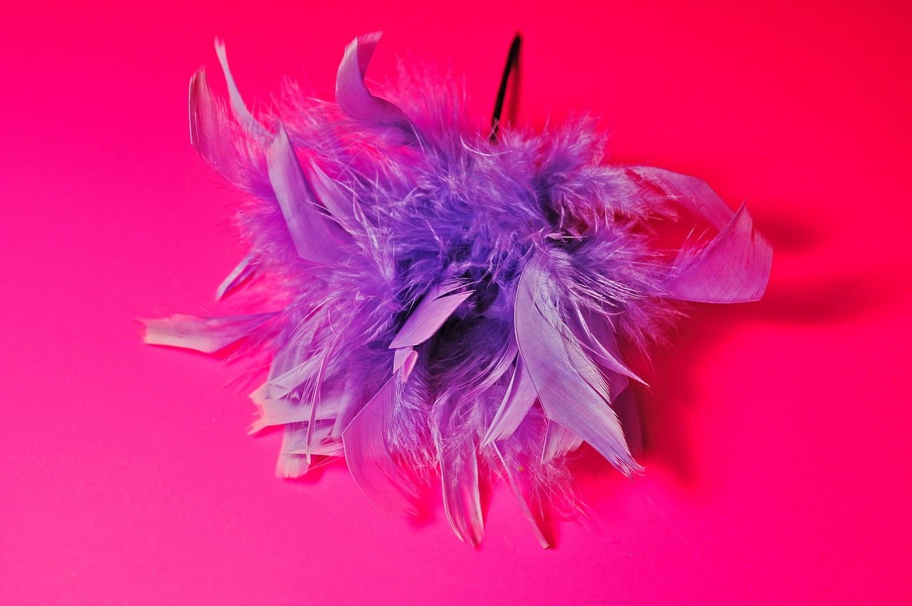 Feather Corsage