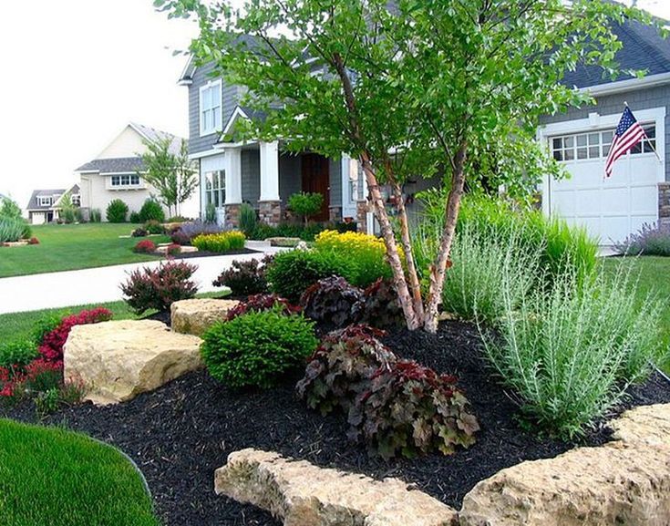 Place Groundcover Plants with Rocks