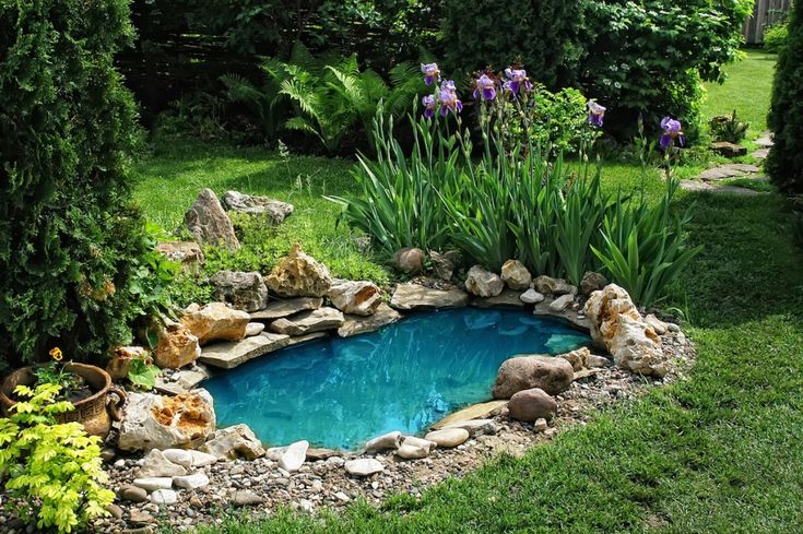 Set up a Mini Pond with The Rocks
