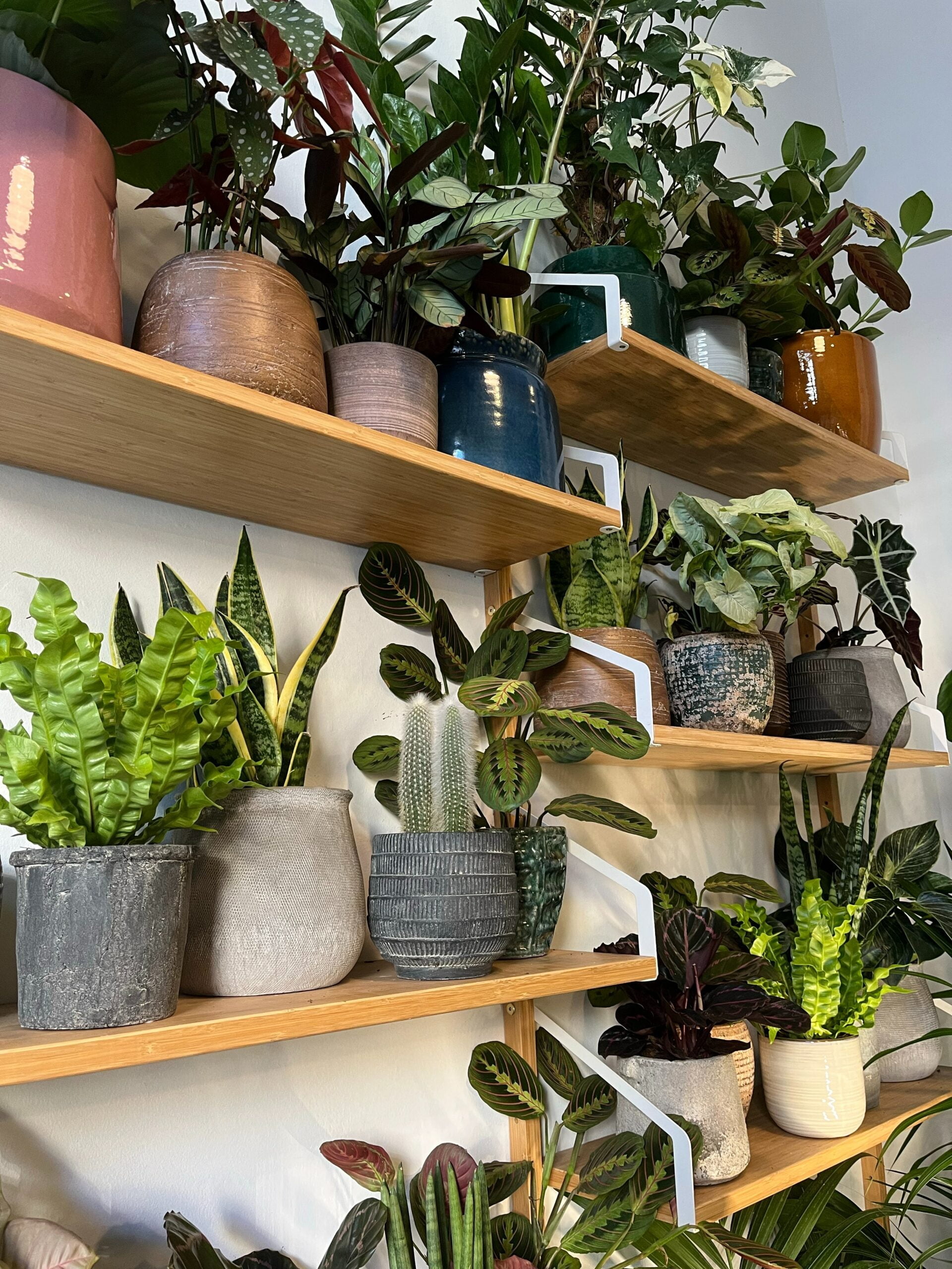  Parallel Floating Shelf