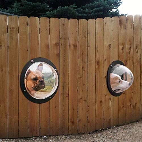 Bubble Window Dog Fence