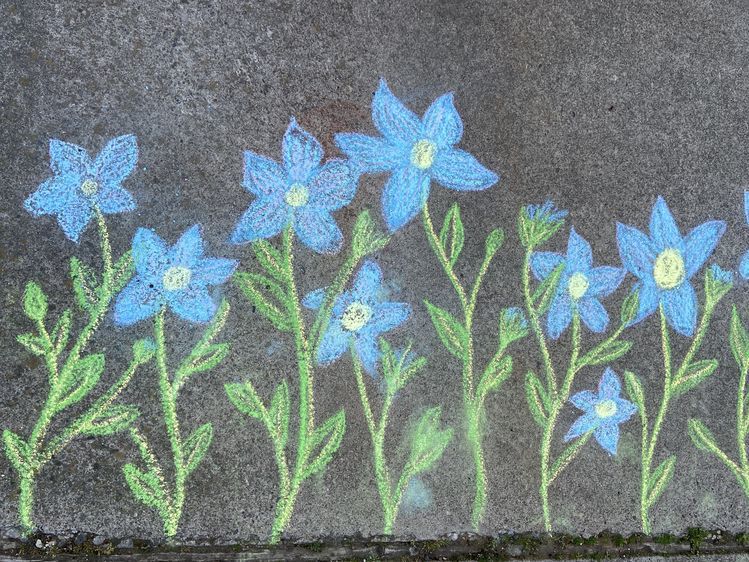 Flowers Chalk Drawing