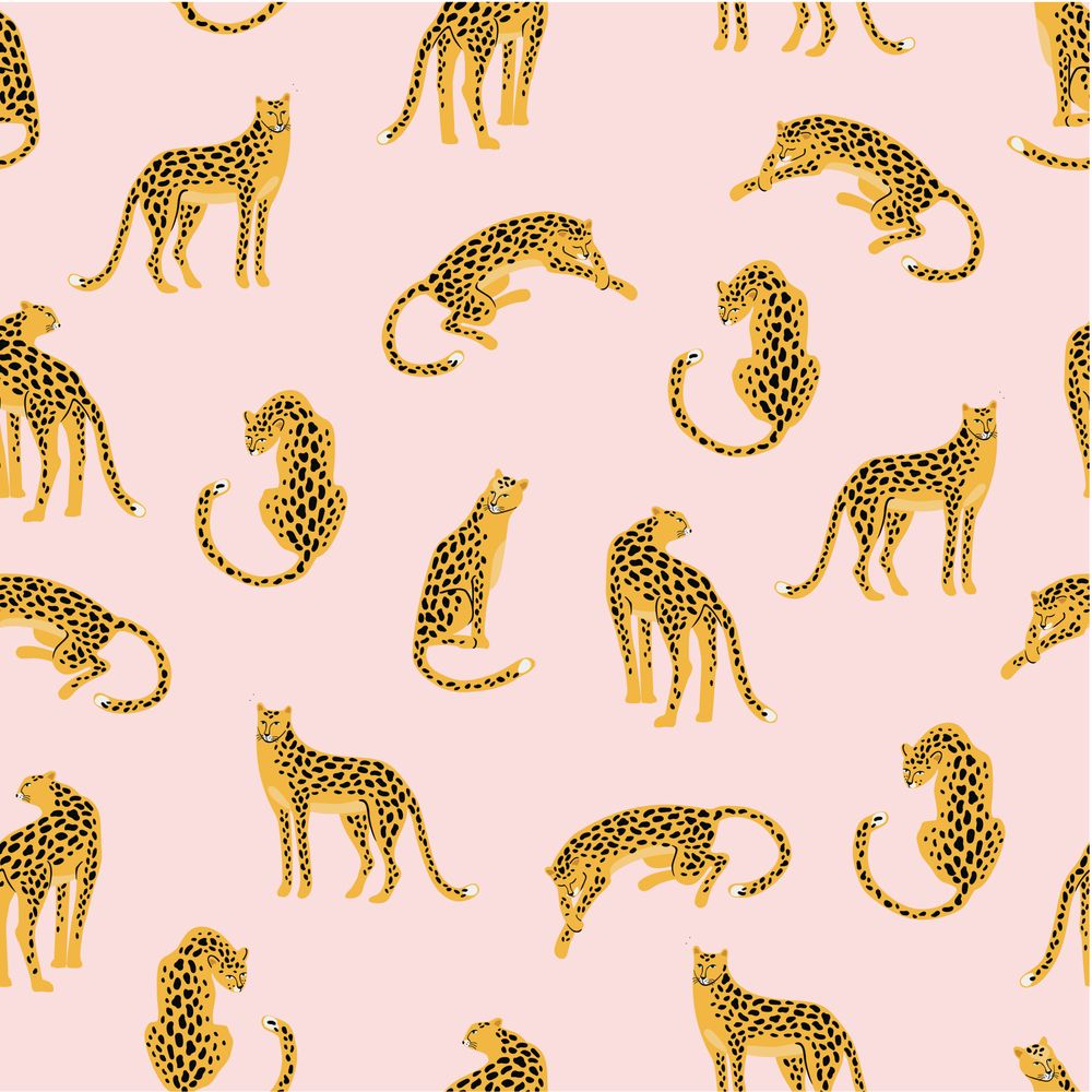 Pink and Orange Cheetah