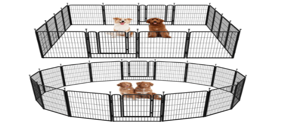 Temporary Dog Fence