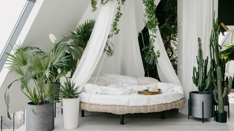 Garden Canopy Bed